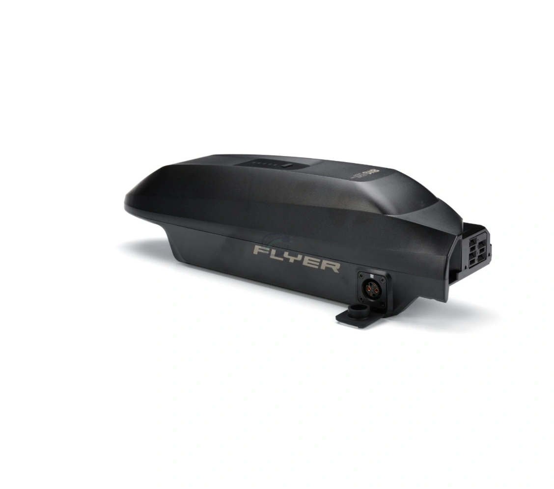 Flyer Panasonic SIB 2.0 Akku 630 Wh – kompatibel mit Panasonic